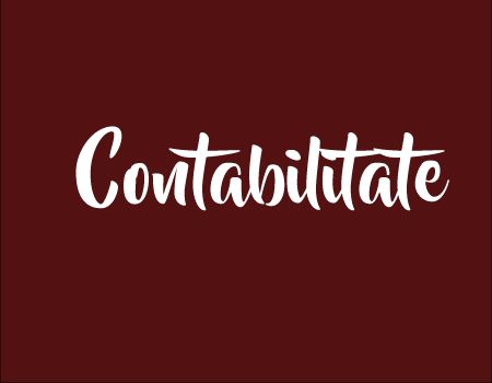 Domeniul Contabilitate