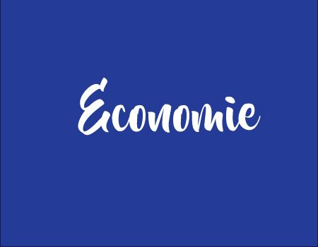 Domeniul Economie