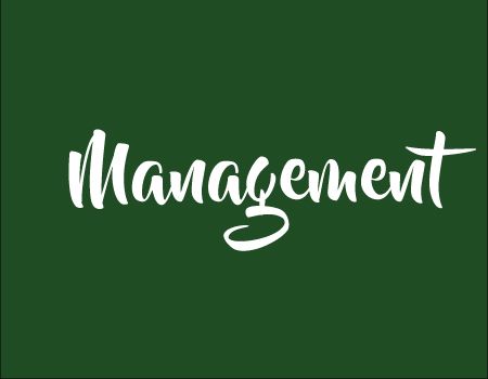 Domeniul Management