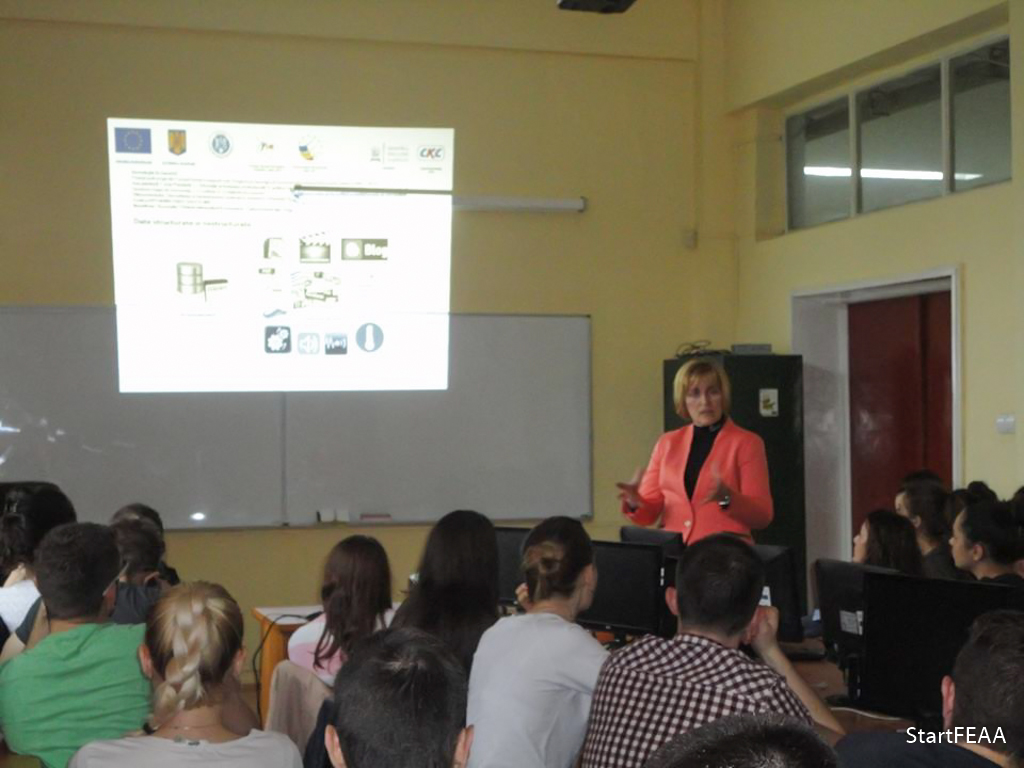 Proiectul DEZIE