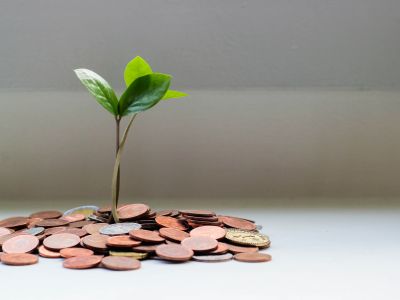 Finance & Banking